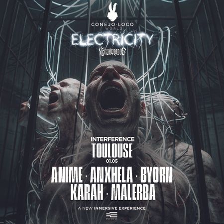 Conejo Loco World XXL