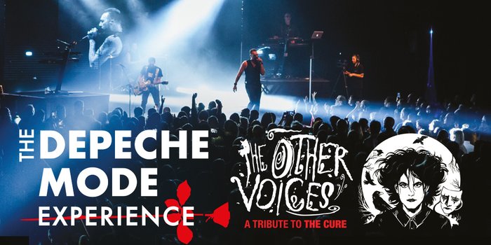 The Depeche Mode Experience / The Other Voices (A Tribute to The Cure)